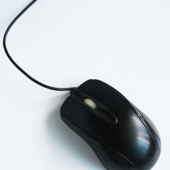 mouse-ps